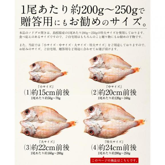 のどぐろ 干物 一夜干し 浜田 約200?250g×2尾 特大サイズ03