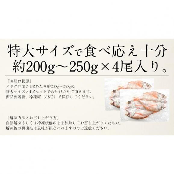 のどぐろ 干物 一夜干し 浜田 約200?250g×4尾 特大サイズ 約24cm06