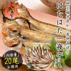 干物 はたはた ハタハタ 一夜干し 20尾 約520g