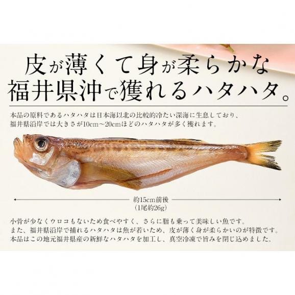 干物 はたはた ハタハタ 一夜干し 20尾 約520g03