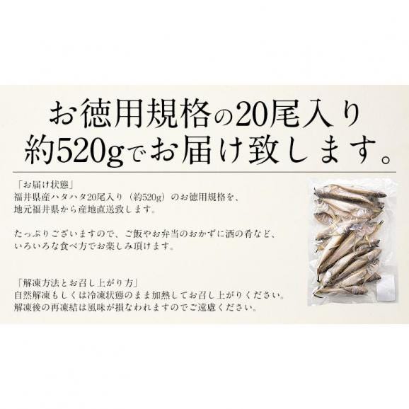 干物 はたはた ハタハタ 一夜干し 20尾 約520g06