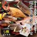 干物 漬け魚 福井の地魚 5種詰め合わせ 真鯛 鰆