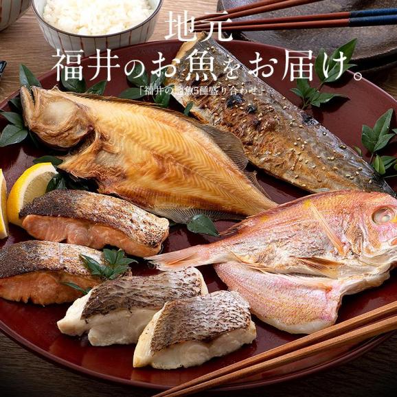 干物 漬け魚 福井の地魚 5種詰め合わせ 真鯛 鰆02