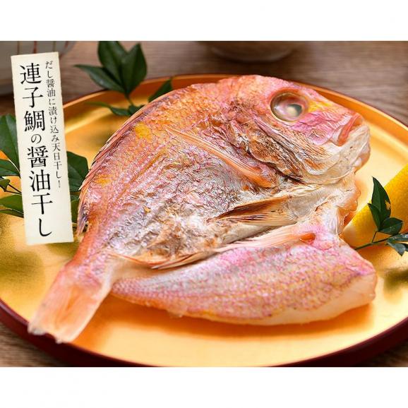 干物 漬け魚 福井の地魚 5種詰め合わせ 真鯛 鰆05