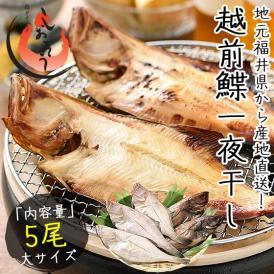 越前がれい カレイ かれい 鰈 大サイズ×5尾