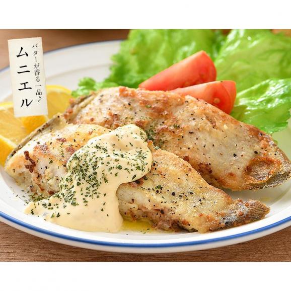 越前がれい カレイ かれい 鰈 大サイズ×5尾05