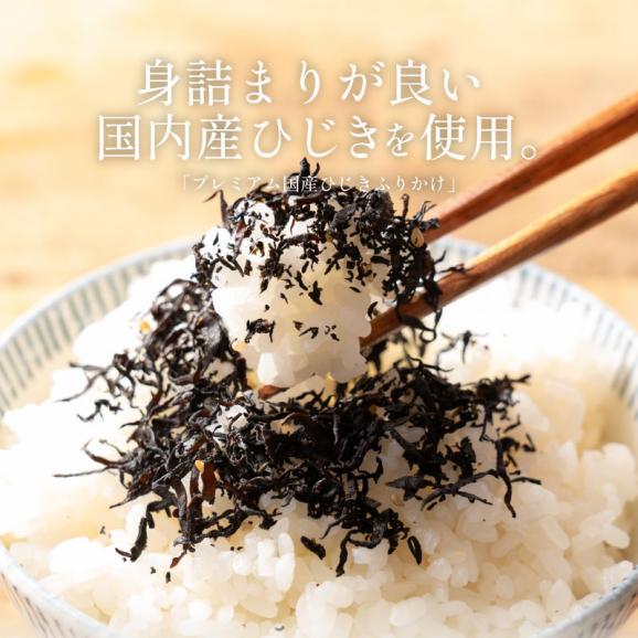 ひじき ふりかけ 国産 プレミアム しそひじきふりかけ 50g×2袋（約20食分）生ふりかけ 02