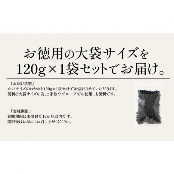 カットわかめ 120g わかめ 大人 海藻06