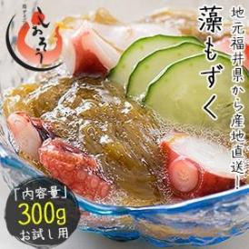 もずく 300g 越前産 藻もずく