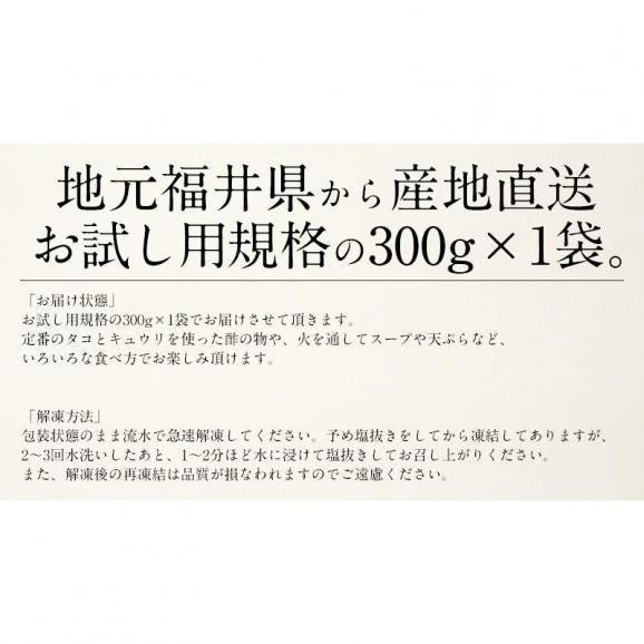 もずく 300g 越前産 藻もずく06