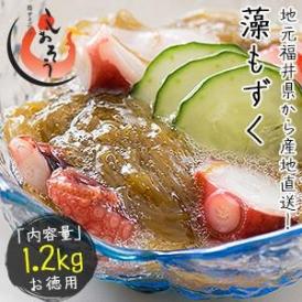 もずく 1.2kg（300g×4袋） 越前産 藻もずく