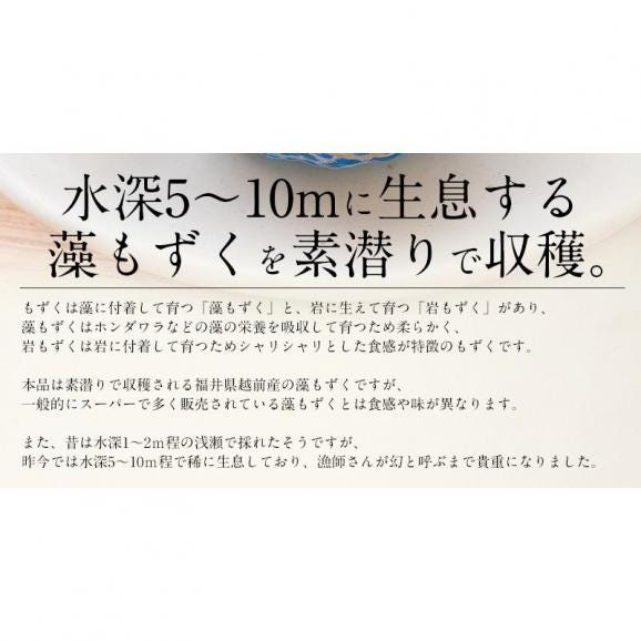 もずく 1.2kg（300g×4袋） 越前産 藻もずく03