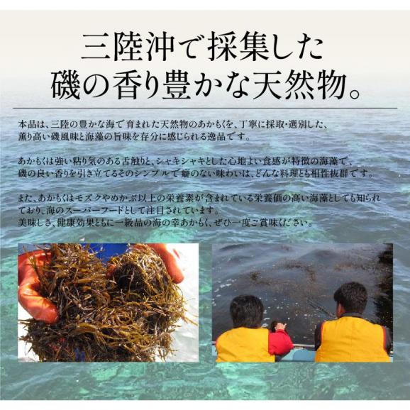 あかもく アカモク100g×5パック ギバザ03