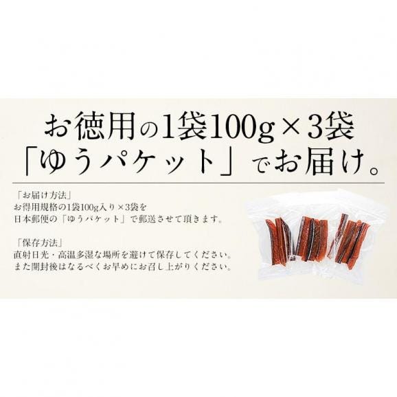 鮭とば 300g（100g×3袋） 北海道産06