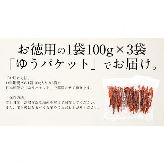 鮭とば カット 300g（100g×3袋） 皮なし06