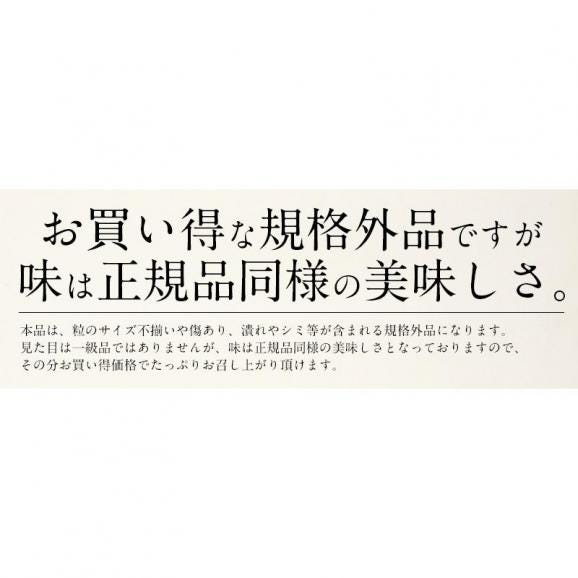 梅干し 訳あり つぶれ梅 300g しそ漬け 国産04
