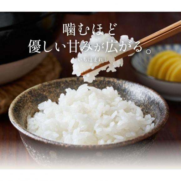★新米★ 福井県産 新米 いちほまれ お米 5kg02