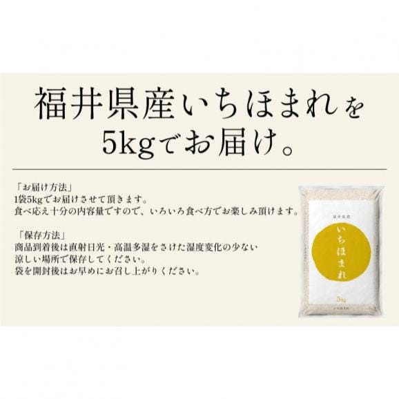★新米★ 福井県産 新米 いちほまれ お米 5kg05