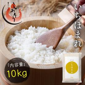 新米 福井県産 新米 いちほまれ お米 10kg