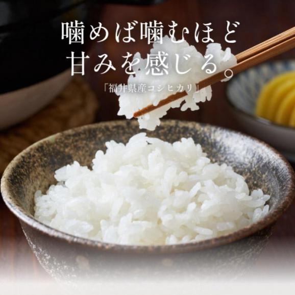 新米 福井県産 新米 いちほまれ お米 10kg02