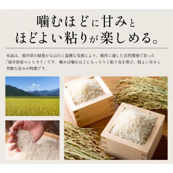 新米 福井県産 新米 いちほまれ お米 10kg03
