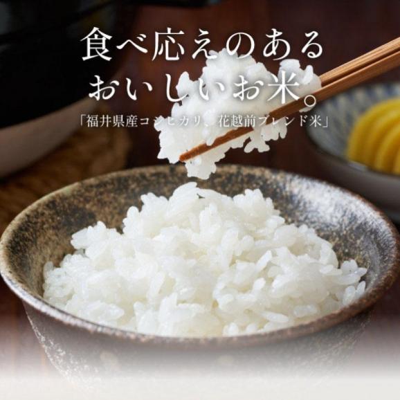 ★新米★ 花越前 コシヒカリ ブレンド米 ハナエチゼン 10kg02