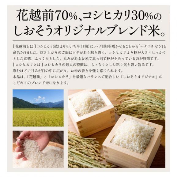 ★新米★ 花越前 コシヒカリ ブレンド米 ハナエチゼン 10kg03