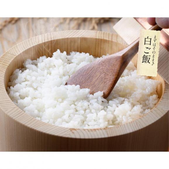 ★新米★ 花越前 コシヒカリ ブレンド米 ハナエチゼン 10kg04