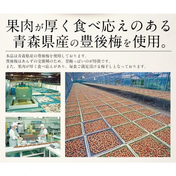 梅干し 訳あり つぶれ梅 1.5kg/300g×5袋 しそ漬け03