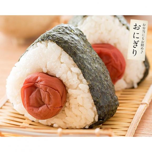 梅干し 訳あり つぶれ梅 1.5kg/300g×5袋 しそ漬け04