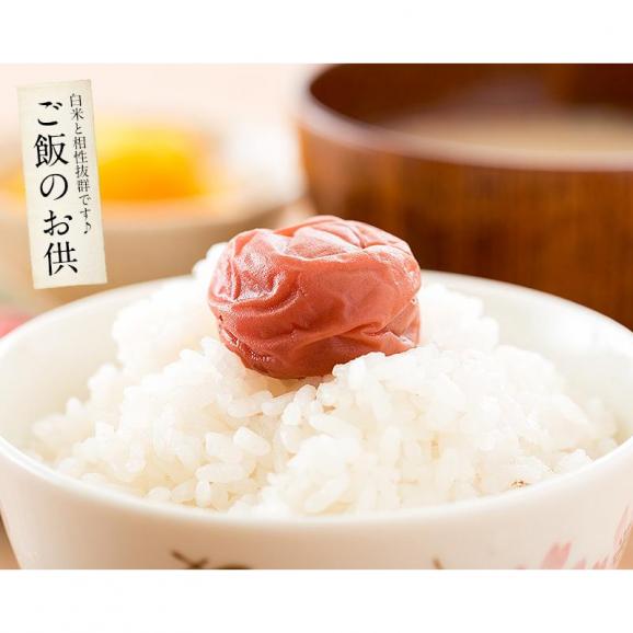 梅干し 訳あり つぶれ梅 1.5kg/300g×5袋 しそ漬け05