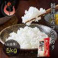 ★新米★ 福井県産 新米 コシヒカリ お米 5kg