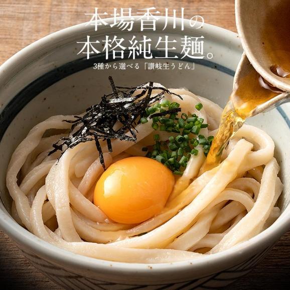 うどん 讃岐うどん 300g×3袋（9人前） 普通02