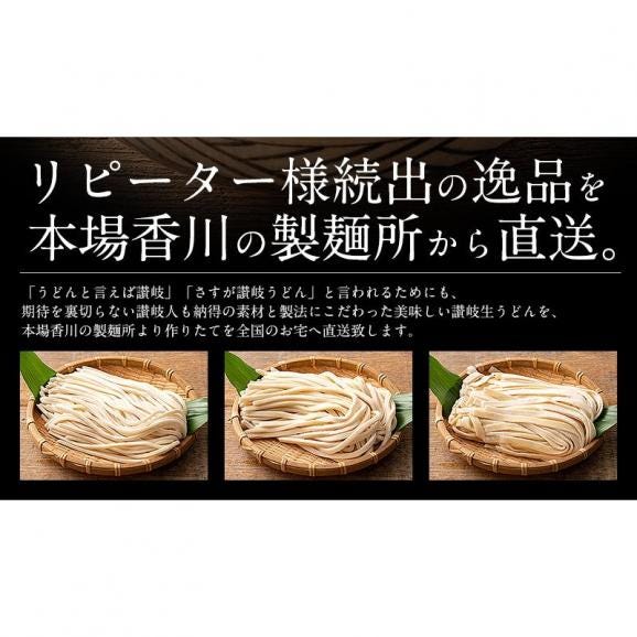 うどん 讃岐うどん 300g×3袋（9人前） 普通03