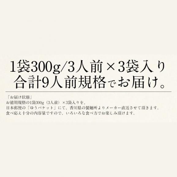 うどん 讃岐うどん 300g×3袋（9人前） 普通06