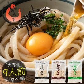 うどん 讃岐うどん 300g×3袋（9人前）極太麺