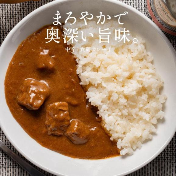 カレー 食研カレー 200g×4袋 4人前 中辛 業務用02