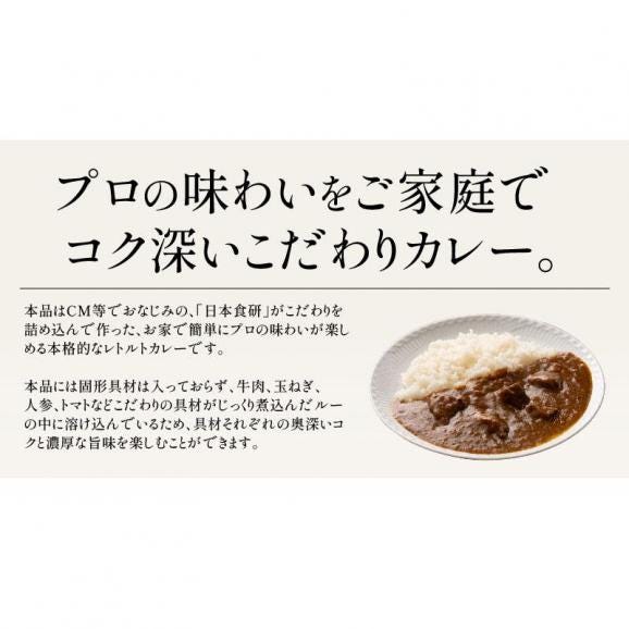 カレー 食研カレー 200g×4袋 4人前 中辛 業務用03