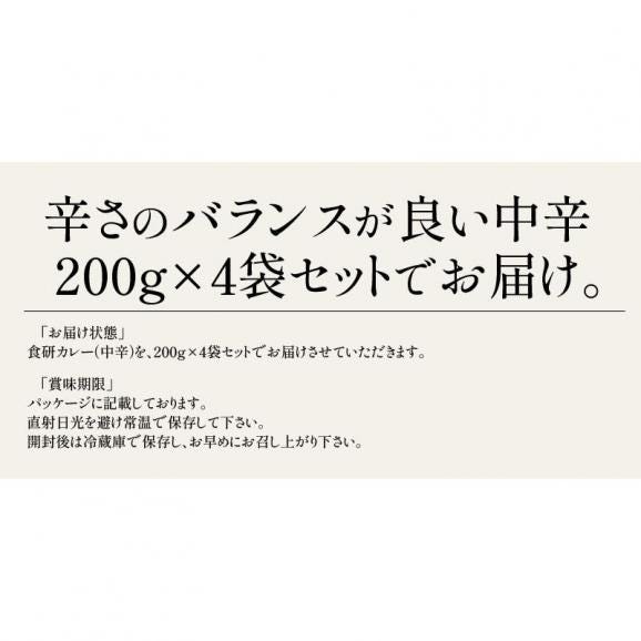 カレー 食研カレー 200g×4袋 4人前 中辛 業務用05