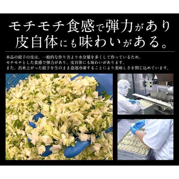 餃子 ジャンボ餃子 40個 1.6kg 冷凍餃子03