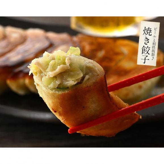 餃子 ジャンボ餃子 40個 1.6kg 冷凍餃子04
