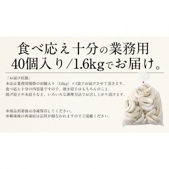 餃子 ジャンボ餃子 40個 1.6kg 冷凍餃子05