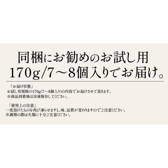 イカリング フライ いかリングフライ お魚屋さんのイカリングフライ 170g（約7?8個）06