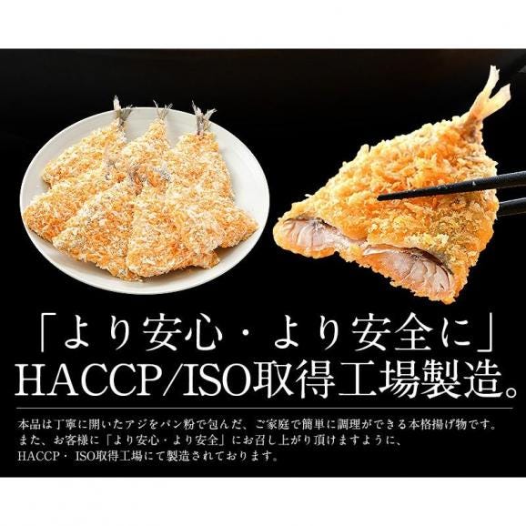あじふらい アジ フライ 250g（5枚入り）03