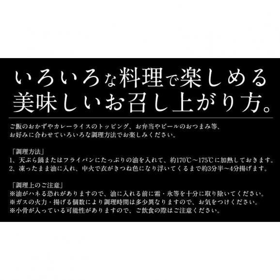 あじふらい アジ フライ 250g（5枚入り）04