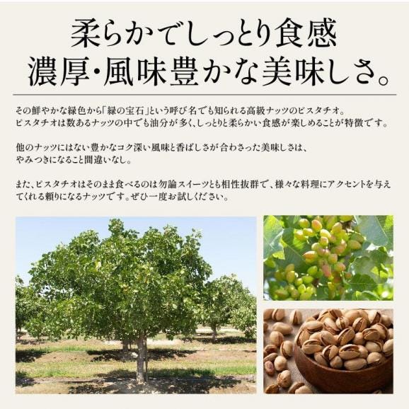 素焼き ピスタチオ 500g 無塩 無添加04