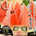 スイカ すいか 福井すいか 2玉 L 大玉 秀等級