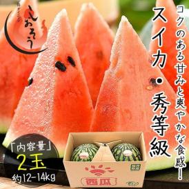 スイカ すいか 福井すいか 2玉 L 大玉 秀等級