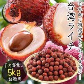 ライチ 5kg 生ライチ 台湾ライチ レイシ （着日指定不可）