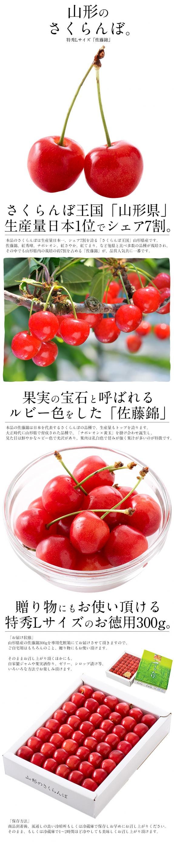 佐藤錦 さくらんぼ 贈答用 サクランボ 特秀 Lサイズ 300g 山形県産｜港